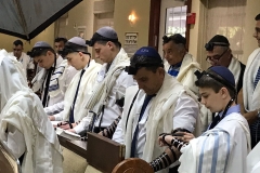 Bar Mitzvah April 2018 (3)