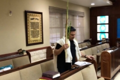 Sukkot October 2018 (2)