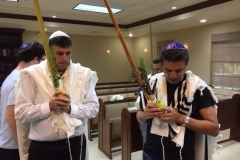 Tishrei-2017-3